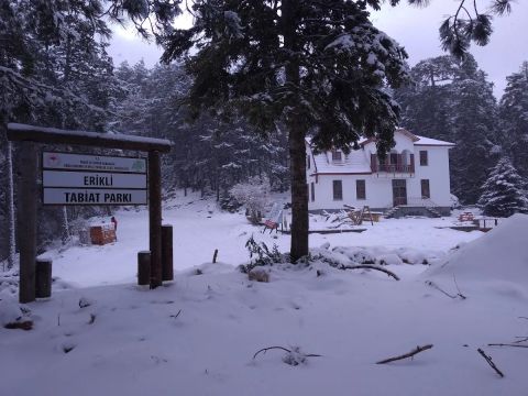 Erikli Tabiat Parkı girişi — kış