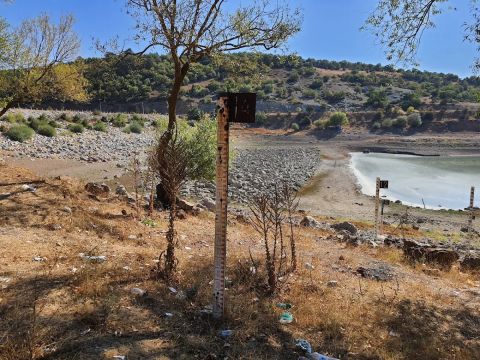 Gölet kıyısı