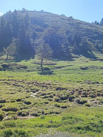 Yaz aylarında yayla