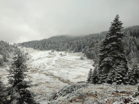 Kar altında yayla