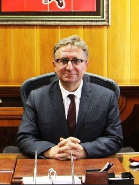 Dr. Ahmet Naci Helvacı, Kaymakam